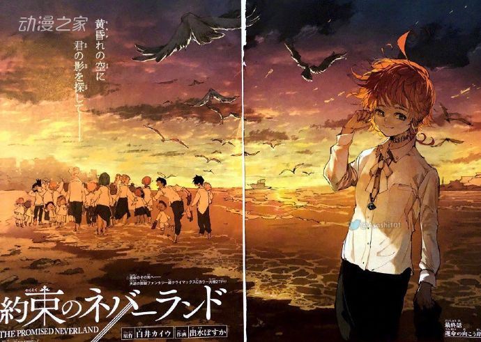 剧透预警 《约定的梦幻岛》漫画完结，最终卷10月发售