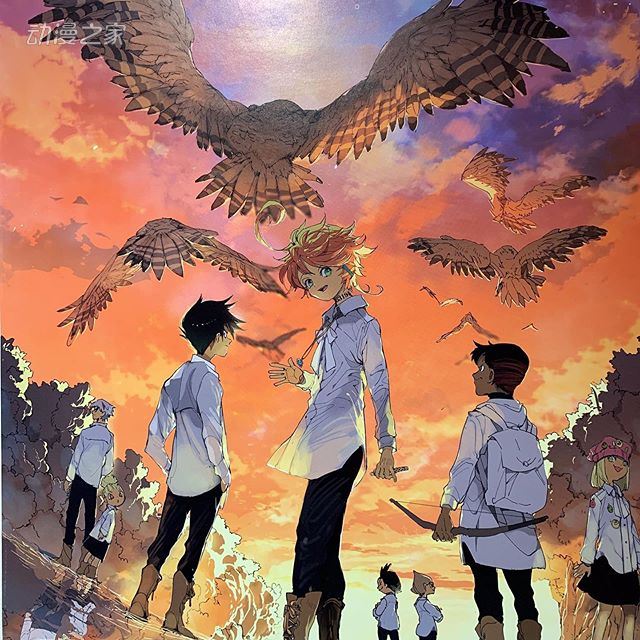 剧透预警 《约定的梦幻岛》漫画完结，最终卷10月发售