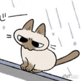 阔诺新连载哒！9月新连载漫画不完全指北第四期
