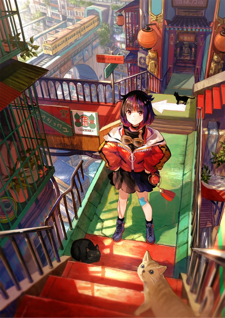 P站美图推荐-P站官网美图-猫特别推荐（二）