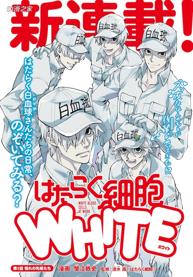 阔诺新连载哒！10月新连载漫画不完全指北第四期
