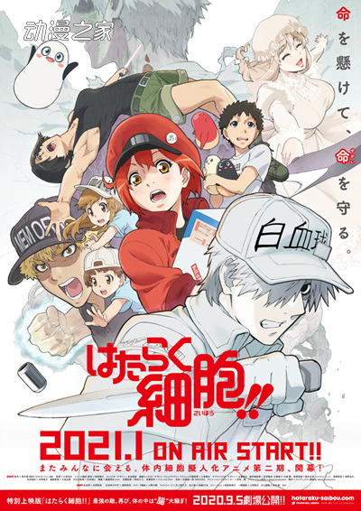 你要看哪部？2021年冬番动画作品一览
