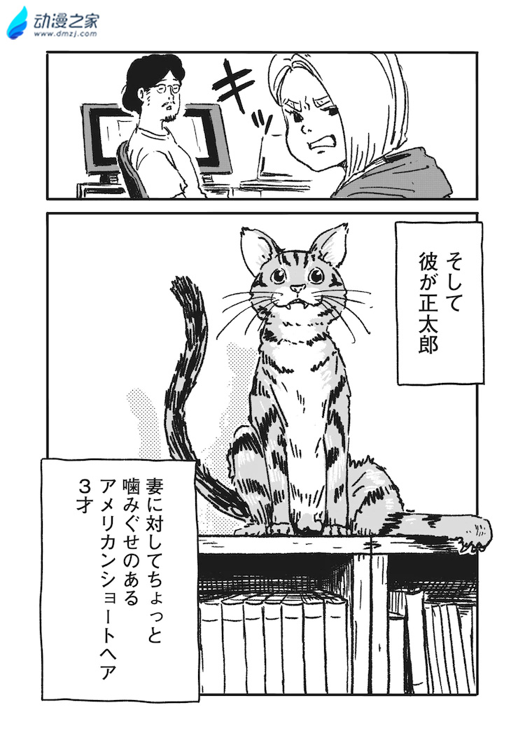 阔诺新连载哒！2月新连载漫画不完全指北第一期