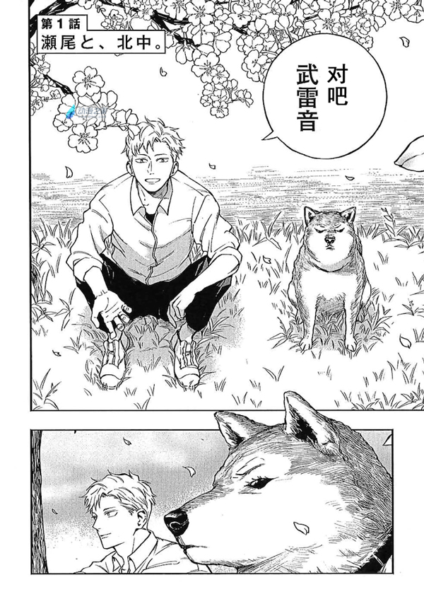 要不要来感受一下日式搞笑？
