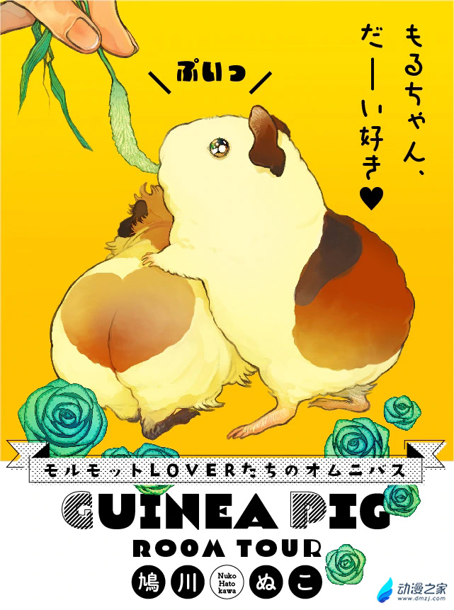 阔诺新连载哒！3月新连载漫画不完全指北第一期