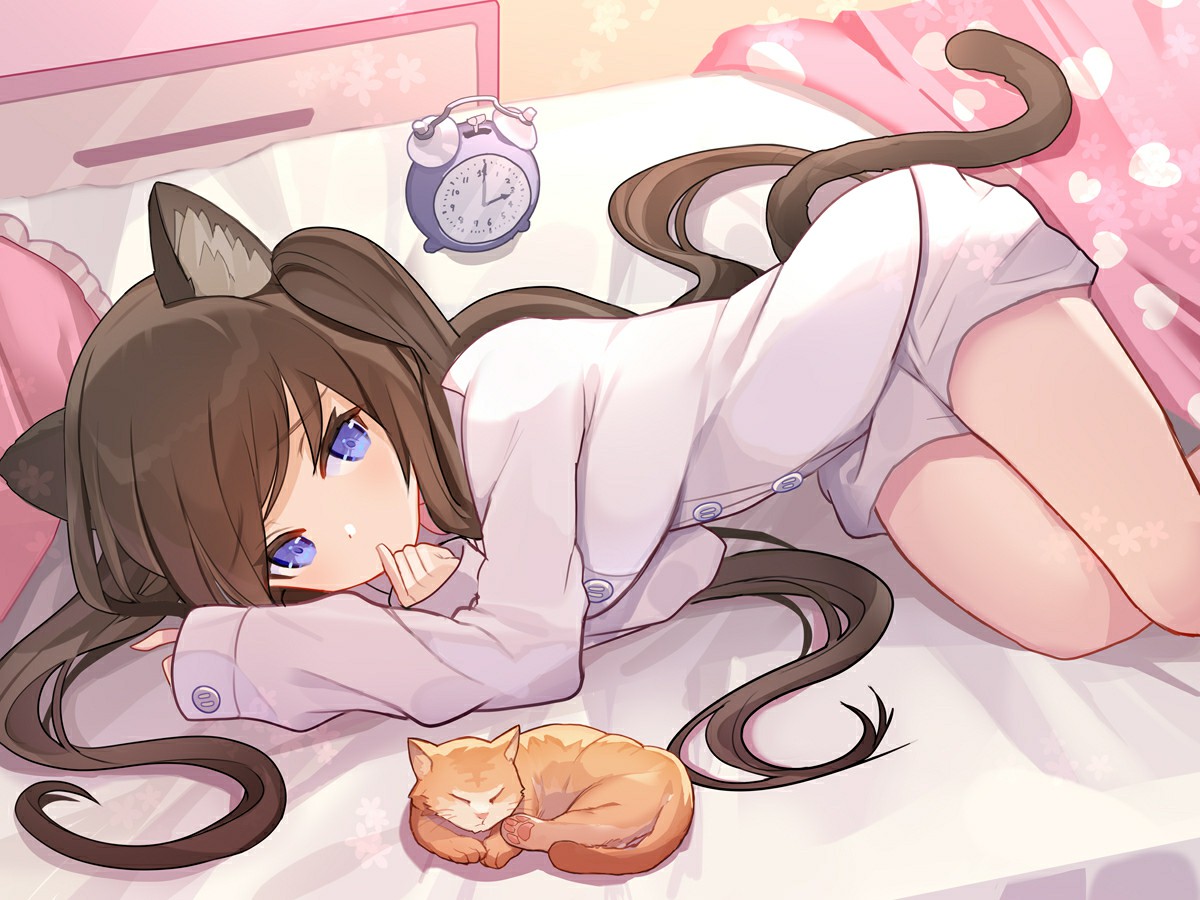 P站美图推荐-P站官网美图-猫与女孩特别推荐