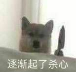周五榕树下·猫猫表情包第二期