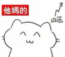 周五榕树下·猫猫表情包第二期