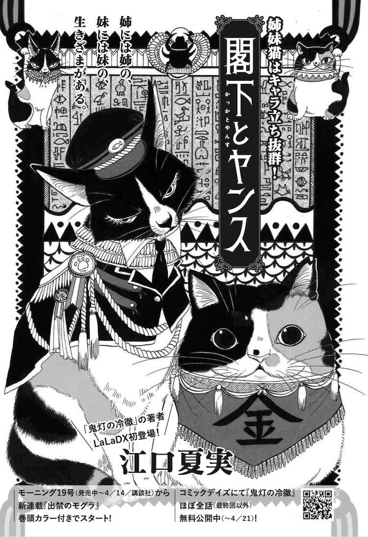 1618047196832084.jpg 江口夏实首次亮相LaLa DX
