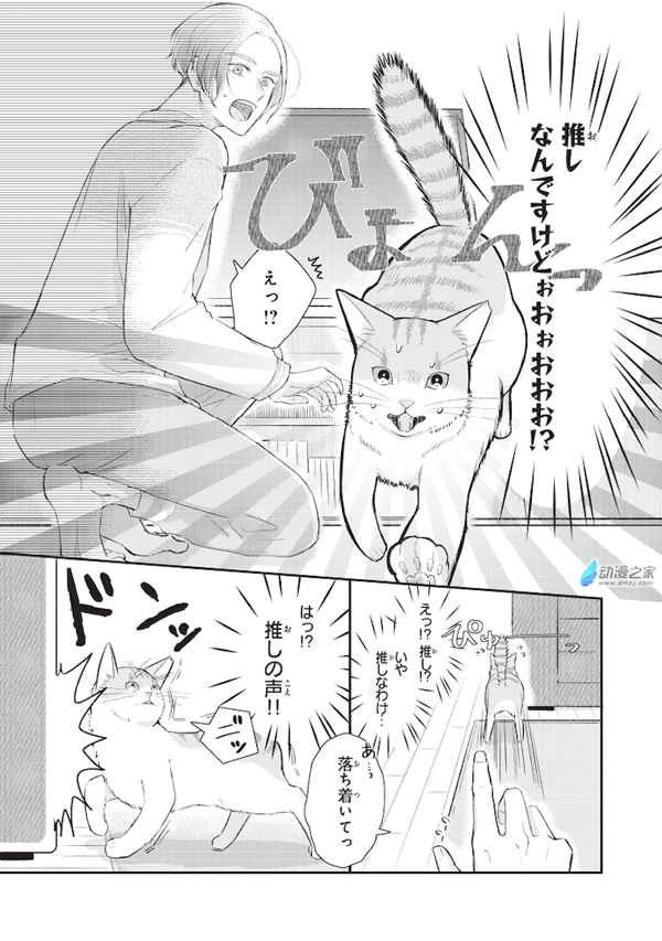 一个重生让你美梦成真