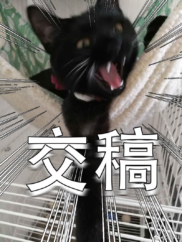 周五榕树下·猫猫表情包第二期