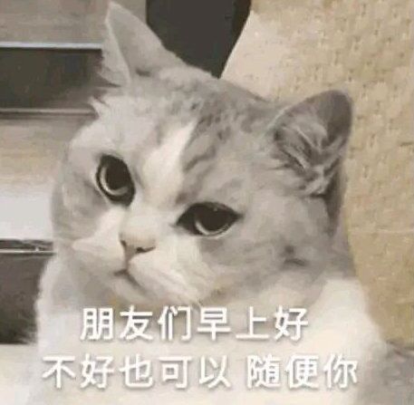 周五榕树下·猫猫表情包第二期