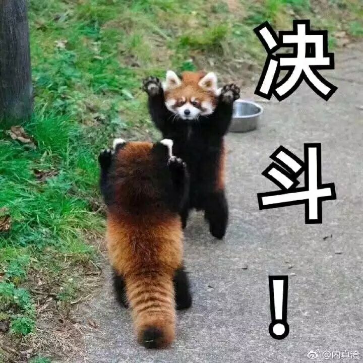 周五榕树下·编辑部闲聊·撞坑抢坑完结篇