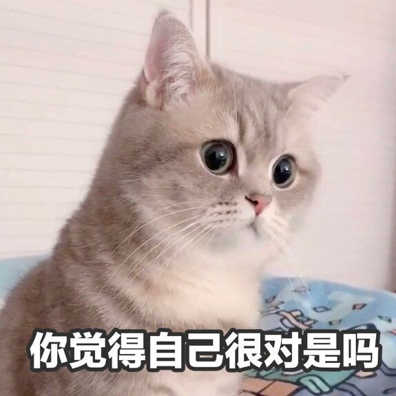 周五榕树下·编辑部闲聊·撞坑抢坑完结篇
