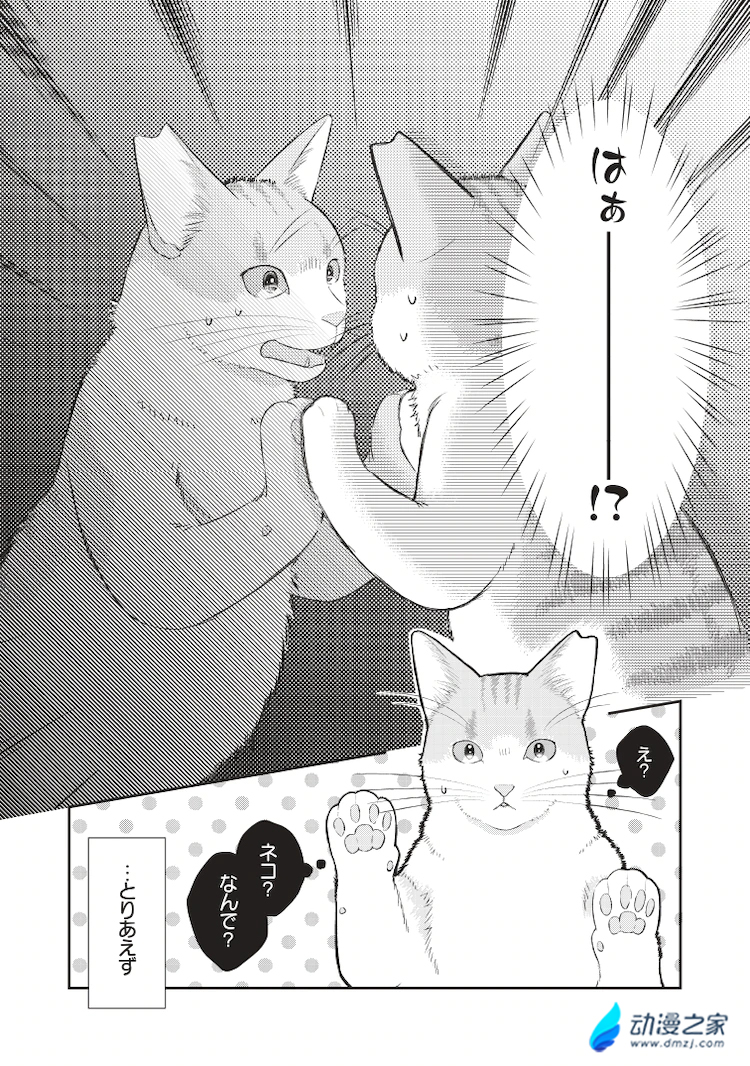 阔诺新连载哒！4月新连载漫画不完全指北第三期