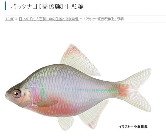 1620987600306464.jpg 阔诺新连载哒!5月新连载漫画不完全指北第一、二期