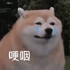 1622195809427382.gif 阔诺新连载哒!5月新连载漫画不完全指北第四期