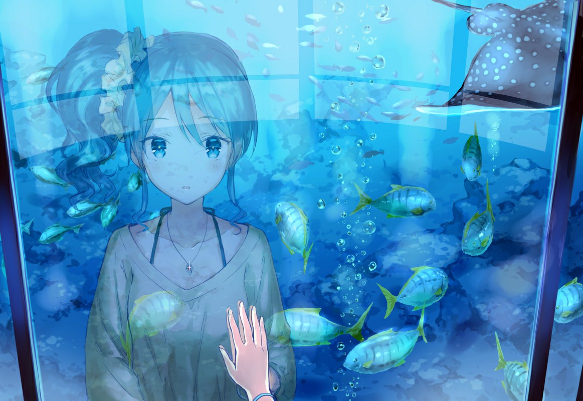 P站美图推荐-P站官网美图-水族馆特别推荐
