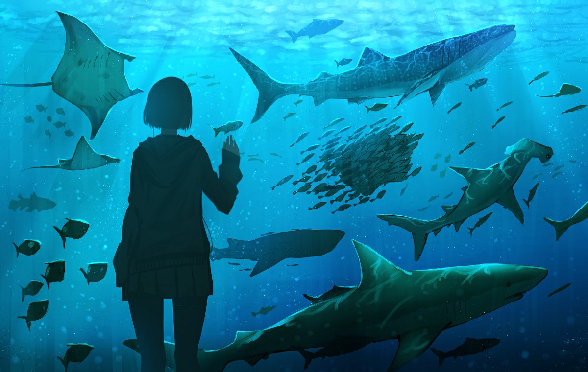 P站美图推荐-P站官网美图-水族馆特别推荐