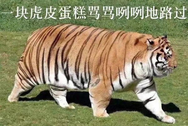 周五榕树下·书单推荐第九期