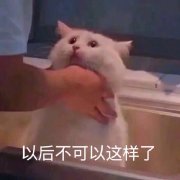 阔诺新连载哒！8月新连载漫画不完全指北第三期