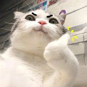 1629454258704210.jpg 阔诺新连载哒!8月新连载漫画不完全指北第三期