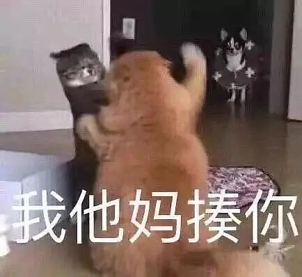 阔诺新连载哒！8月新连载漫画不完全指北第三期