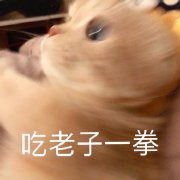 阔诺新连载哒！8月新连载漫画不完全指北第三期