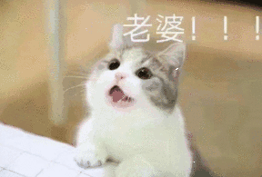 周五榕树下·书单推荐第九期