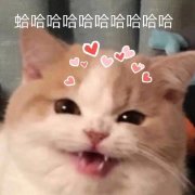 阔诺新连载哒！8月新连载漫画不完全指北第三期