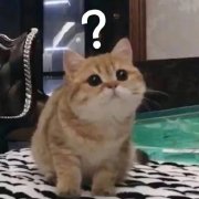 阔诺新连载哒！8月新连载漫画不完全指北第三期