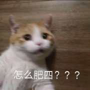 阔诺新连载哒！8月新连载漫画不完全指北第三期