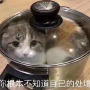 阔诺新连载哒！8月新连载漫画不完全指北第三期