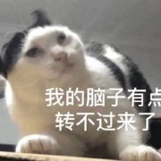 阔诺新连载哒！8月新连载漫画不完全指北第三期