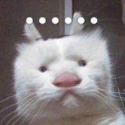 阔诺新连载哒！8月新连载漫画不完全指北第三期