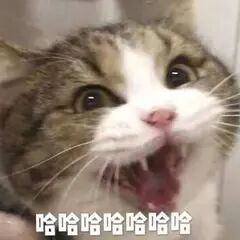 阔诺新连载哒！8月新连载漫画不完全指北第三期