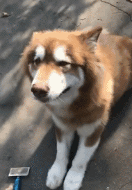 周五榕树下·吐槽书单第十期