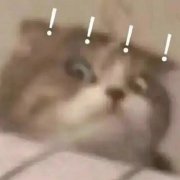 阔诺新连载哒！8月新连载漫画不完全指北第四期