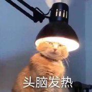 阔诺新连载哒！8月新连载漫画不完全指北第五期