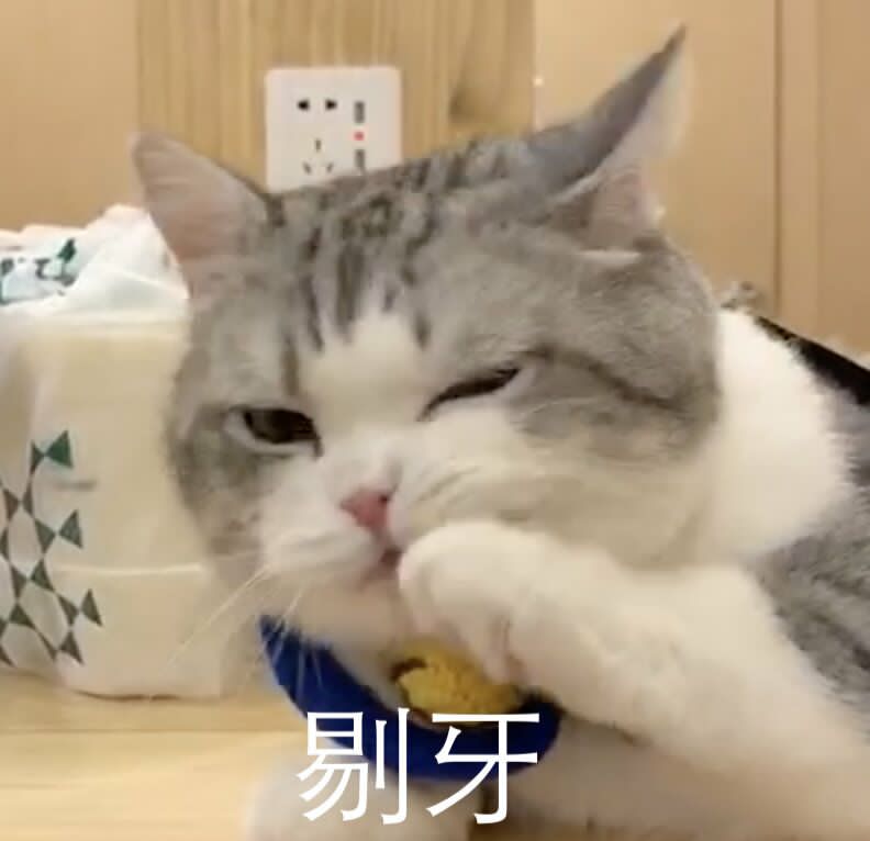 阔诺新连载哒！8月新连载漫画不完全指北第五期
