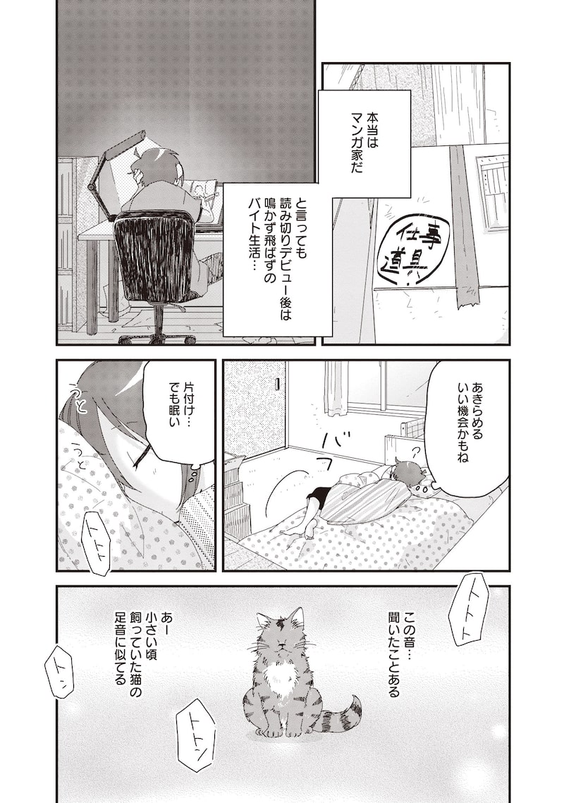 家里有只“死不瞑目”的猫