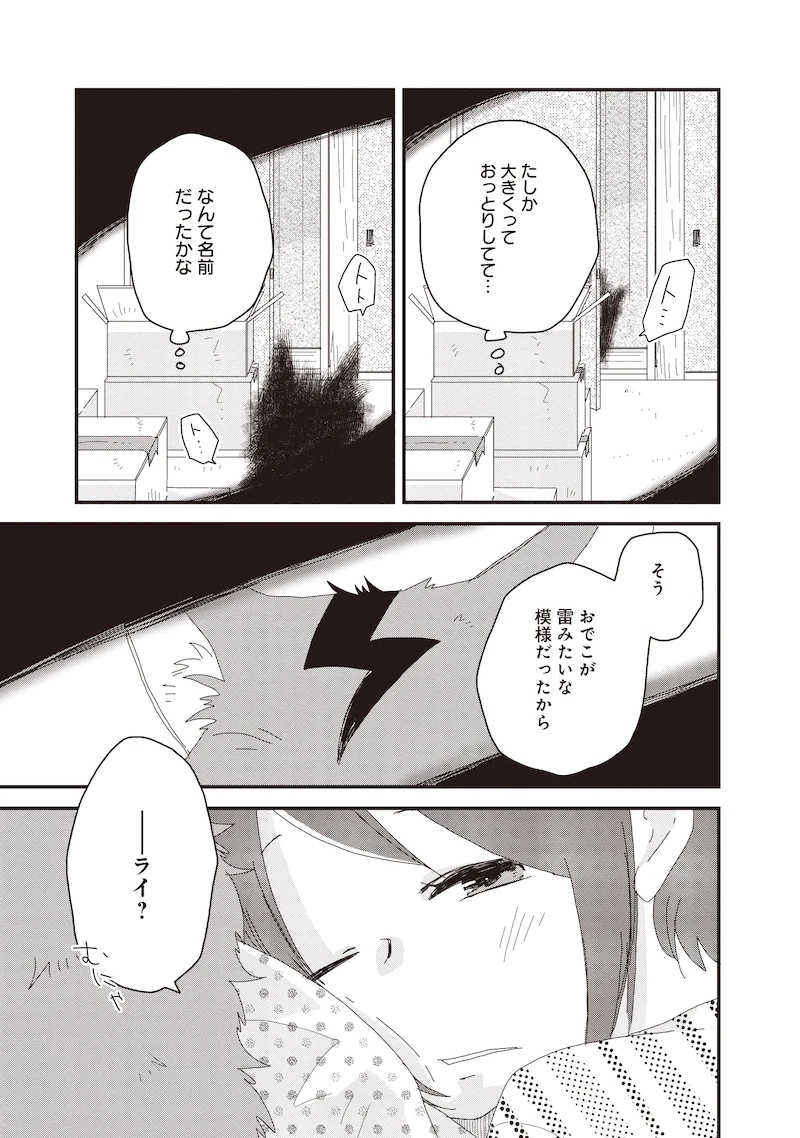 家里有只“死不瞑目”的猫
