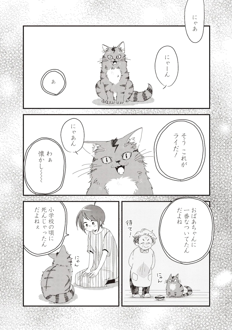 家里有只“死不瞑目”的猫