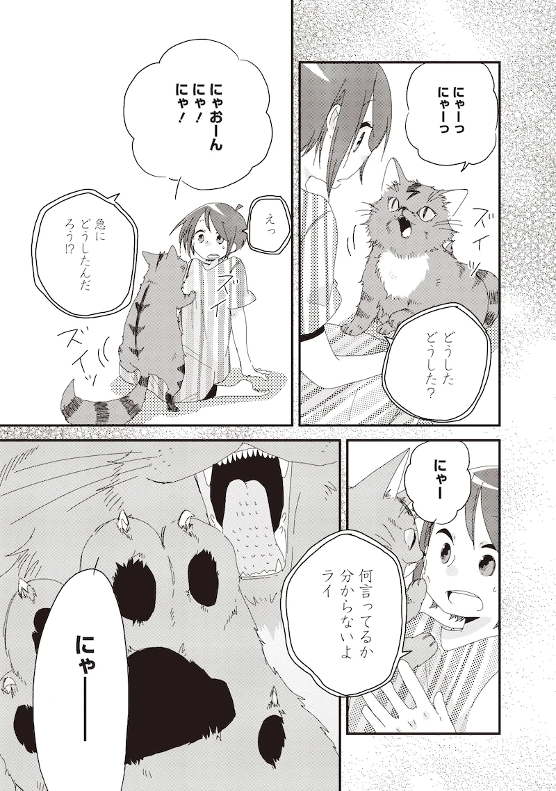 家里有只“死不瞑目”的猫