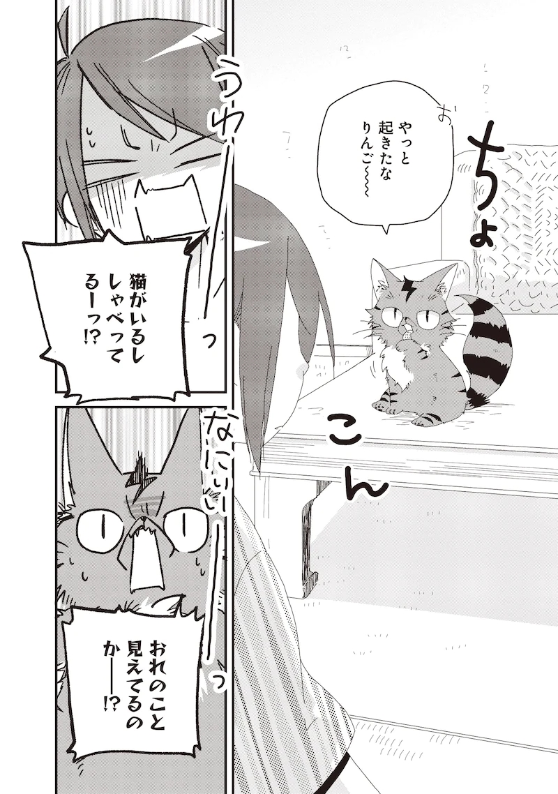 家里有只“死不瞑目”的猫