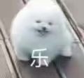 阔诺新连载哒！9月新连载漫画不完全指北第四期
