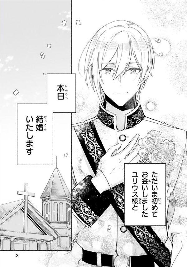 我不会爱你