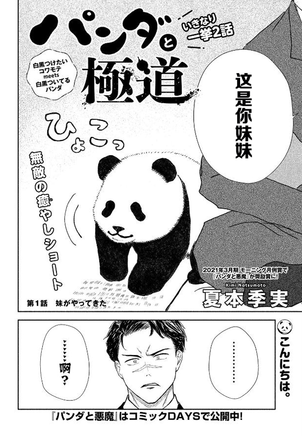 熊猫可以征服世界上的一切！