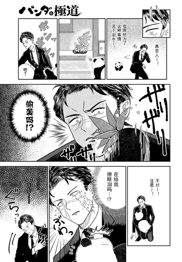 熊猫可以征服世界上的一切！