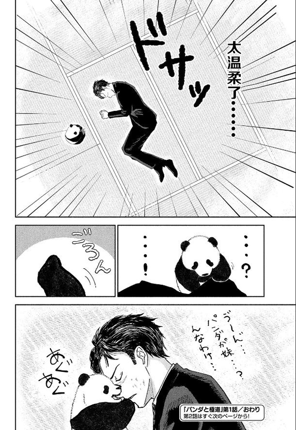 熊猫可以征服世界上的一切！